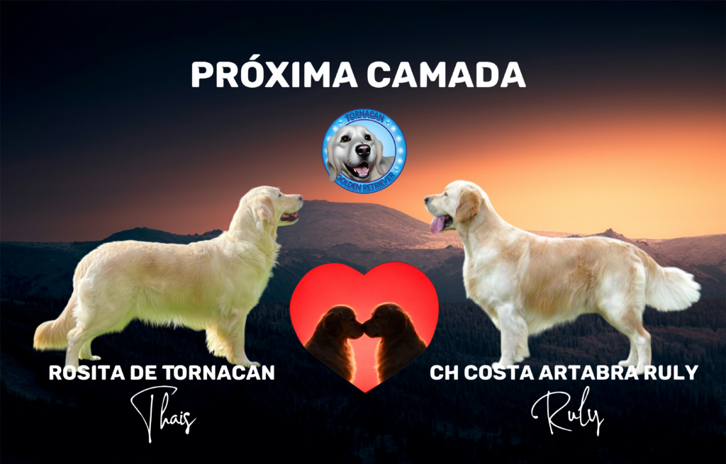 camada tahis 2 1